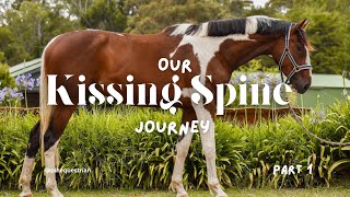 My horse has kissing spine Let’s talk about our journey  horse vlog [upl. by Tteltrab]