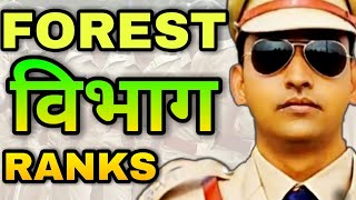 FOREST RANK किस प्रकार होती है  Forest Rank In India  Forest Department Ranks And Salary [upl. by Lerrud122]