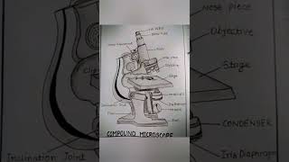 Computer Microscope  Microscope In Computer  Microscope Diagram [upl. by Dysart514]