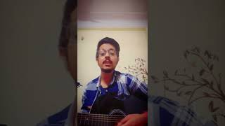 Srivalli Song cover Pushpa2 pushpafever [upl. by Sgninnej]