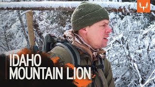 Idaho Mountain Lion  MeatEater Season 7 [upl. by Annohsat]