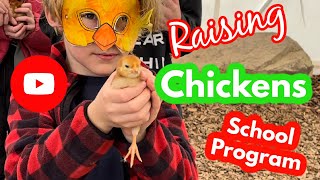 Raising Chickens  Chick hatching program for schools [upl. by Alrak]