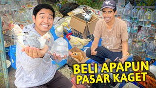 BELI APAPUN HEWAN DI PASAR KAGET UNPAD PALING RAMAI RESCUE BINATANG TERLANTAR [upl. by Atinav]