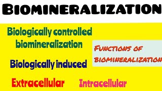 Biomineralization  Types of biomineralization Properties amp functions of biomineralization [upl. by Amiel]