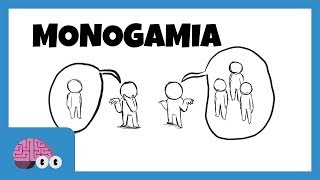 MONOGAMIA E POLIGAMIA [upl. by Kenwrick]