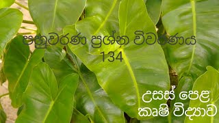 MCQ 134  Agricultural Science for Advance Level Examination Sinhala medium [upl. by Aidil]