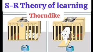 SR Theory of learning Thorndike in BEd  Trial and Error theory  learning and Development 🐱 🐟 [upl. by Godfry]