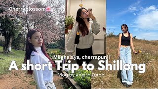 A short Trip to Shillong 🌸  Vlog54  💌🧿 [upl. by Nirol745]