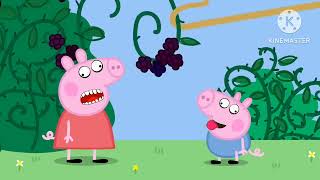 The Blackberry Bush Peppa Pig Official Clip Funny Laughing amp Facial Expressions [upl. by Llehcim]