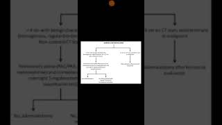 Adrenal incidentaloma [upl. by Onailil]