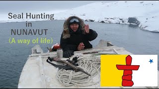 Boating and Hunting in the Arctic  Nunavut Canada [upl. by Aneehsak314]