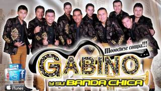 EN TU CAMINO  GABINO Y SU BANDA CHICA [upl. by Atteve]