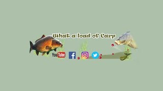 Using Liquidised Bread for Carp Fishing [upl. by Hesper]