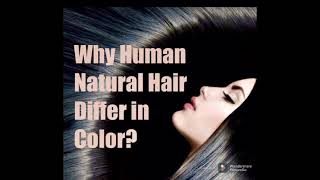 Why Human Natural Hair Differ in Color [upl. by Eilrak389]