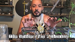 The Spidershop Unboxing  Cyriopagopus sp Schmidti [upl. by Etom]