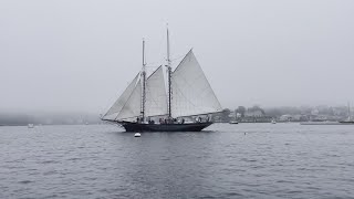 Boothbays Windjammer Days underway [upl. by Walke]