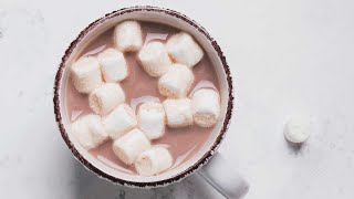 How to Make Hot Cocoa  Rich Chocolatey and Homemade [upl. by Chloette573]