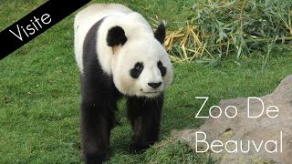 Zoo Parc de Beauval 2015 [upl. by Rooke468]