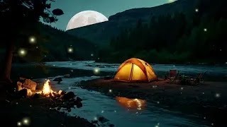 Full moon night soothing sounds of the forest at night  for relaxation [upl. by Lach760]