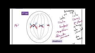 cours brassage de information genetique3 ème sciences [upl. by Siddra]