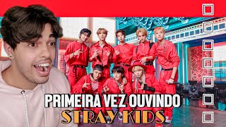 Stray Kids quot소리꾼quot thunderous MV  REACT  REACTION  PRIMEIRA VEZ REAGINDO À quotSTRAY KIDSquot [upl. by Cirred729]