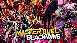 Blackwing Master Duel  Replays 🎮  Decklist ✔️ [upl. by Seften]