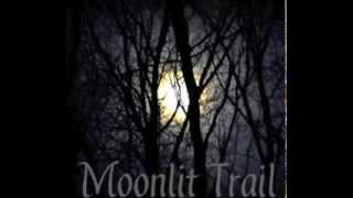 Mysterious Music  Moonlit Trail  Taryn Harbridge [upl. by Selim225]