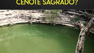 Cenote Sagrado Maya [upl. by Joon381]