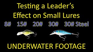 Does a Heavy Leader Kill Your Fishing Lure Action  Underwater Test [upl. by Oicul]