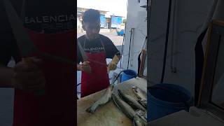 Trout filleting and slicing for grilling fish [upl. by Oicinoid]