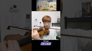 Violin Bridge│AUBERT vs DESPIAU [upl. by Ihcas420]