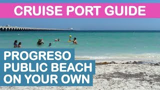 Progreso Yucatán Cruise Port Guide Public Beach On Your Own [upl. by Fritts994]