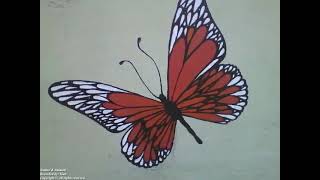 Beautiful red white and black butterfly drawn on the wall of the flower shop Nature amp Animals [upl. by Riggall]