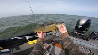 PreFishing For Walleye Tournament 2024 Fox River Spring Classic [upl. by Nymrak]