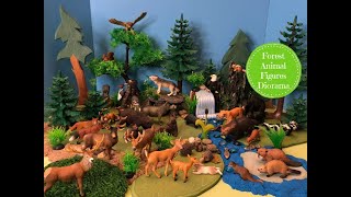 Forest Animal Figures Diorama  Learn Forest Animal Names [upl. by Anicart747]