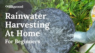 Rainwater Harvesting for Beginners  Milkwood [upl. by Kcirad]