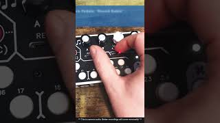 Round Robin by Magpie Pedals Messing with the Arpeggiator synthesizer electronicmusic shorts [upl. by Eilojne]