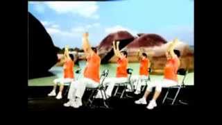 Senam Rehabilitasi Osteoporosis 3  Latihan Aerobic Official Video [upl. by Garvy]