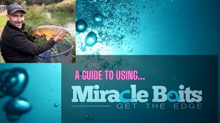 Best Miracle Baits for Coarse Fishing  Tested [upl. by Joacima]