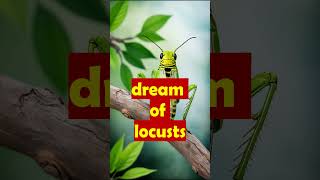 grasshopper dream interpretationlocust dream meaningwhat does it mean to dream of locusts in islam [upl. by Romalda851]