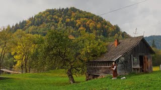 She Lives Alone in the Mountains — A Hidden Life in Stunning Isolation [upl. by Firman]