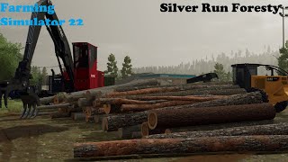 Farming Simulator 22 Forestry on SilevrRun [upl. by Rosette]