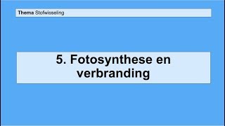 Basisstof 5 Fotosynthese en verbranding [upl. by Lema482]