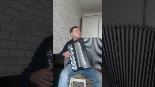 La Noyee  Yann Tiersen shorts music accordion [upl. by Elaval]