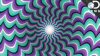 How Optical Illusions Trick Your Brain [upl. by Akerdnahs160]