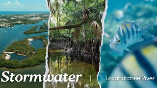 Stormwater and the Loxahatchee River [upl. by Feola]