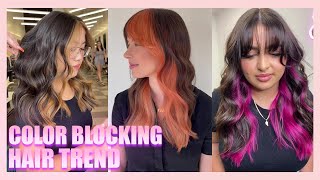 COLOR BLOCKING HAIR TREND MONEY PIECES  POPS OF COLOR [upl. by Lazor]