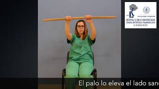 video 6 Autofisioterapia Fx HP hombro Elevación con palo en sedestación [upl. by Essirahs]