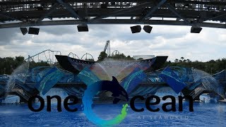 One Ocean Full Show SeaWorld Orlando [upl. by Beattie713]