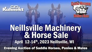 2023 Neillsville Machinery amp Horse Sale  Saddle Horses Ponies and Mules Auction [upl. by Saberhagen334]